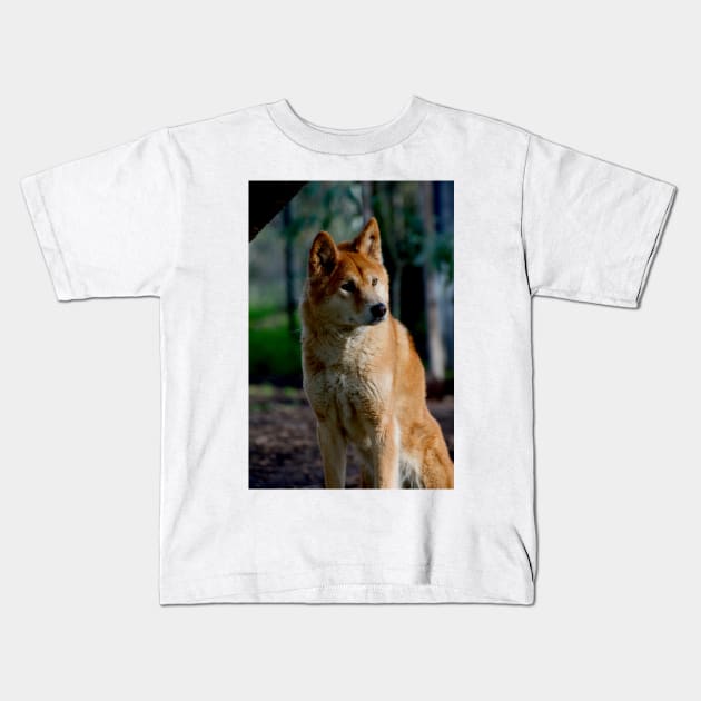 Dingo Gaze Kids T-Shirt by GP1746